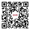 GVSk8凯发视频号